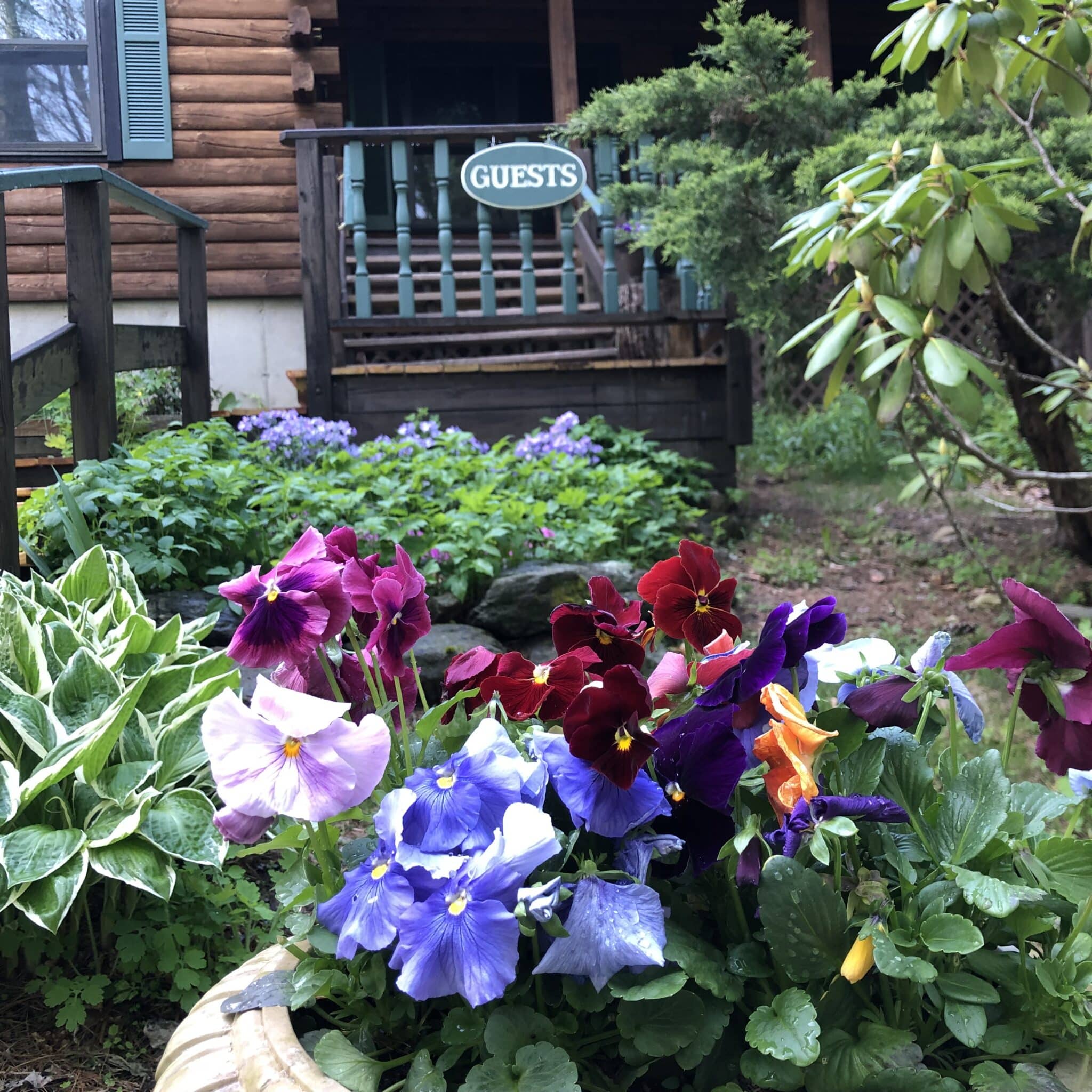The lodge front entry with a flower pot of pansies.