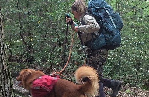 Woman with hiking backpack walking on wooded trail with brown dog wearing red pack on a leash