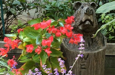 Green plants with orange and purple flowers outside next to a wooden stump carved in the shape of a bear's head