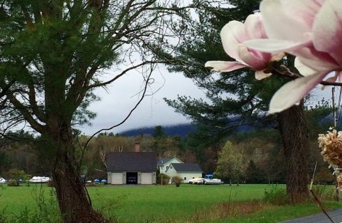 Grassy area with a home and garage seen through two large trees with forest, clouds and a mountain behind