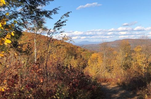 Edge of a rustic walking trail in the middle of a wooded area with hills in the background under a blue sky with clouds