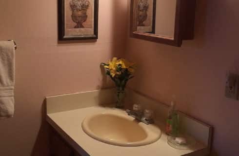 Single sink vanity wth glass soap dish, vase of yellow flowers and mirrored cabinet above