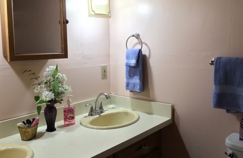 Cream bathroom countertop with two sinks, vase of white flowers and basket of toiletries, and one mirrored cabinet above